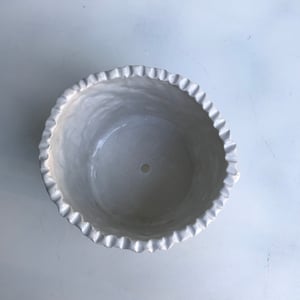 Image of Australian Flannel Flower planter.