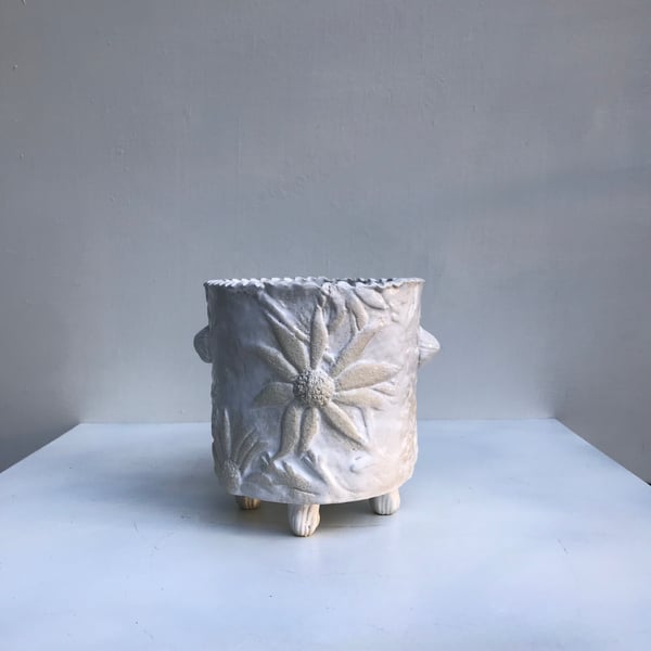 Image of Australian Flannel Flower planter. 