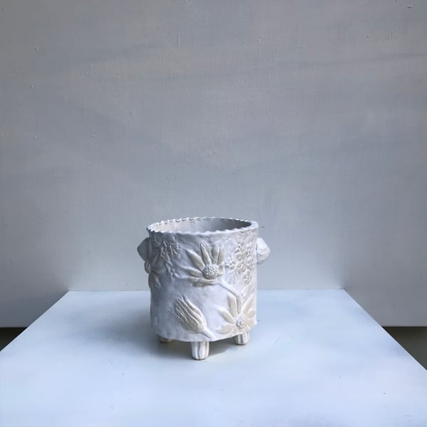 Image of Flannel Flower single cachepot/vase