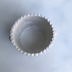 Image of Flannel Flower single cachepot/vase