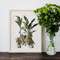 Image 2 of GREEN COMPANIONS Lámina A5 y A4   de Laura Agustí