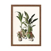 Image 1 of GREEN COMPANIONS Lámina A5 y A4   de Laura Agustí