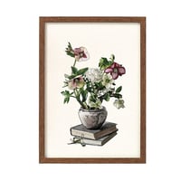 Image 1 of BOTANICAL STUDY Lámina A5 y A4   de Laura Agustí