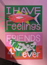 Image 1 of Compassion cards