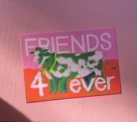 Image 3 of Compassion cards