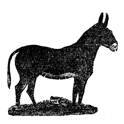 Image of #128 Kelby Clark | Living Memory | C32