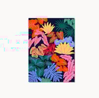 Image 1 of Carte Postale - Plantes colorées