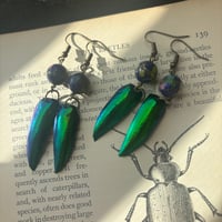 Cloisonné & Elytra Beetle Wing Earrings