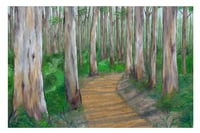 Image 1 of Just Follow