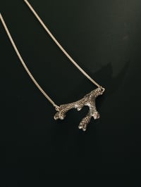 Image 1 of Coral necklace