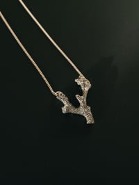 Image 1 of Coral vert