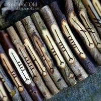 Image 2 of Tree Speak Corresponding Ogham Staves (D060-12)
