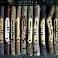 Image 4 of Tree Speak Corresponding Ogham Staves (D060-12)