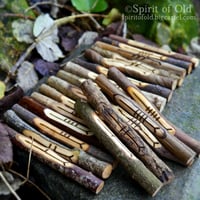 Image 1 of Tree Speak Corresponding Ogham Staves (D060-12)