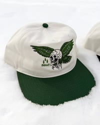 Eagle Skull 2 tone hat
