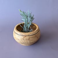 Image 2 of Offering Vessel for a Dead God - Bowl - Big Leaf Maple w/ Burl II