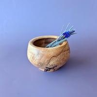 Image 1 of Offering Vessel for a Dead God - Bowl - Big Leaf Maple w/ Burl III