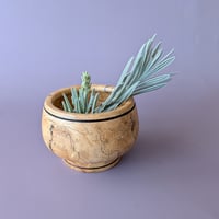 Image 2 of Offering Vessel for a Forgotten Spirit - Bowl - Big Leaf Maple w/Burl IV