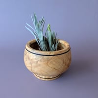 Image 1 of Offering Vessel for a Forgotten Spirit - Bowl - Big Leaf Maple w/Burl IV