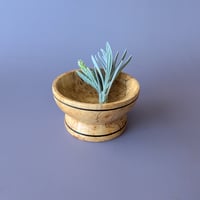 Image 2 of Offering Vessel for a Forgotten Spirit - Bowl - Big Leaf Maple w/Burl V