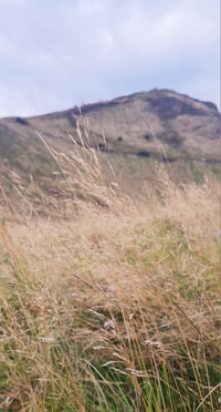 Image 3 of Arthur's Seat . Edinburgh stud earrings  