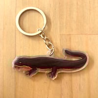 Rough Skin Newt Acrylic Keychain 