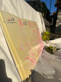 Image 2 of Illu Papillon Rose Riso