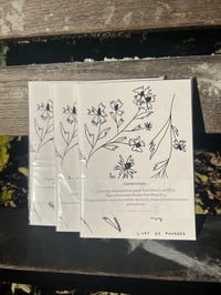 Image 1 of Carnets Cousu