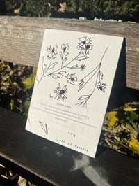 Image 2 of Carnets Cousu