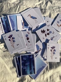 Image 1 of Mini Cartes Riso 