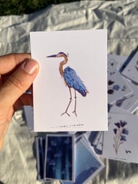 Image 2 of Mini Cartes Riso 