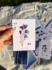 Image 3 of Mini Cartes Riso 