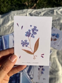 Image 4 of Mini Cartes Riso 