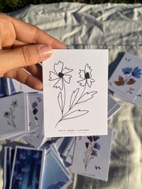 Image 5 of Mini Cartes Riso 