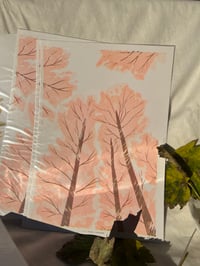 Image 3 of Riso A4 Forêt Rose