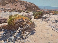 Thousand Palms Canyon Trail