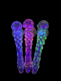 Image 2 of UV D.O.T Color Changing Hammer Bubbler 