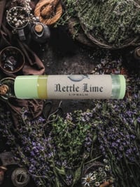 Image 1 of Nettle Lime Lipbalm