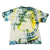 Image 1 of Fiddlehead Dye