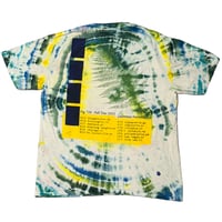 Image 2 of Fiddlehead Dye