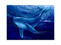 Image 1 of Indigo Drifter