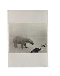 Image 3 of Photographica vol. 13 - Hiroshi Sugimoto.