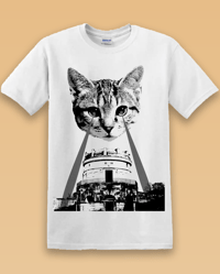 Image 1 of Miaosoleo di Teodorico