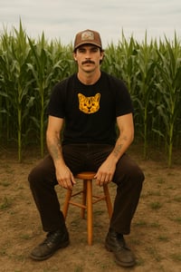 Image 3 of Orange is the new cat