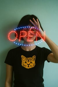 Image 4 of Orange is the new cat