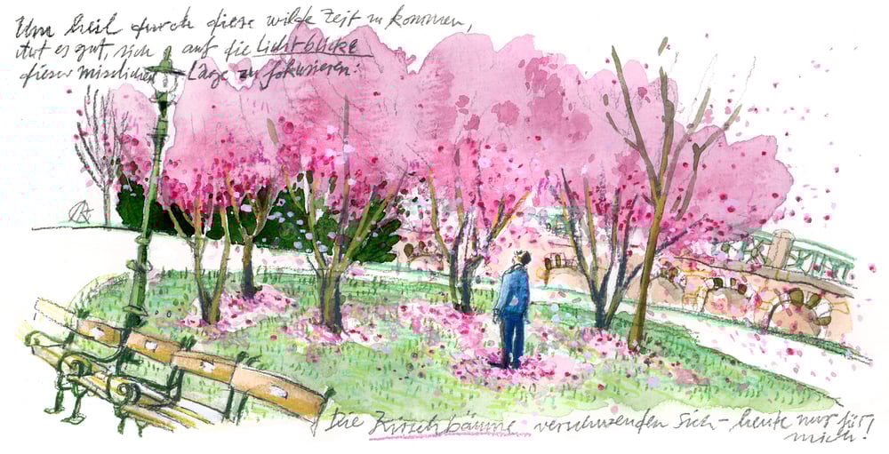 Image of Kirschbäume gegen Krise // Wien