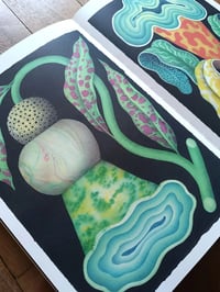 Image 2 of BANZAI XIV