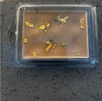 Image 3 of  Wax Melts 6 cube clamshell 