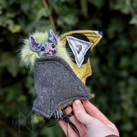 Image 2 of Pistachio Mystic Vampire Bat 