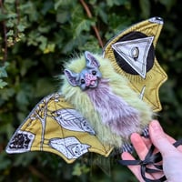 Image 1 of Pistachio Mystic Vampire Bat 